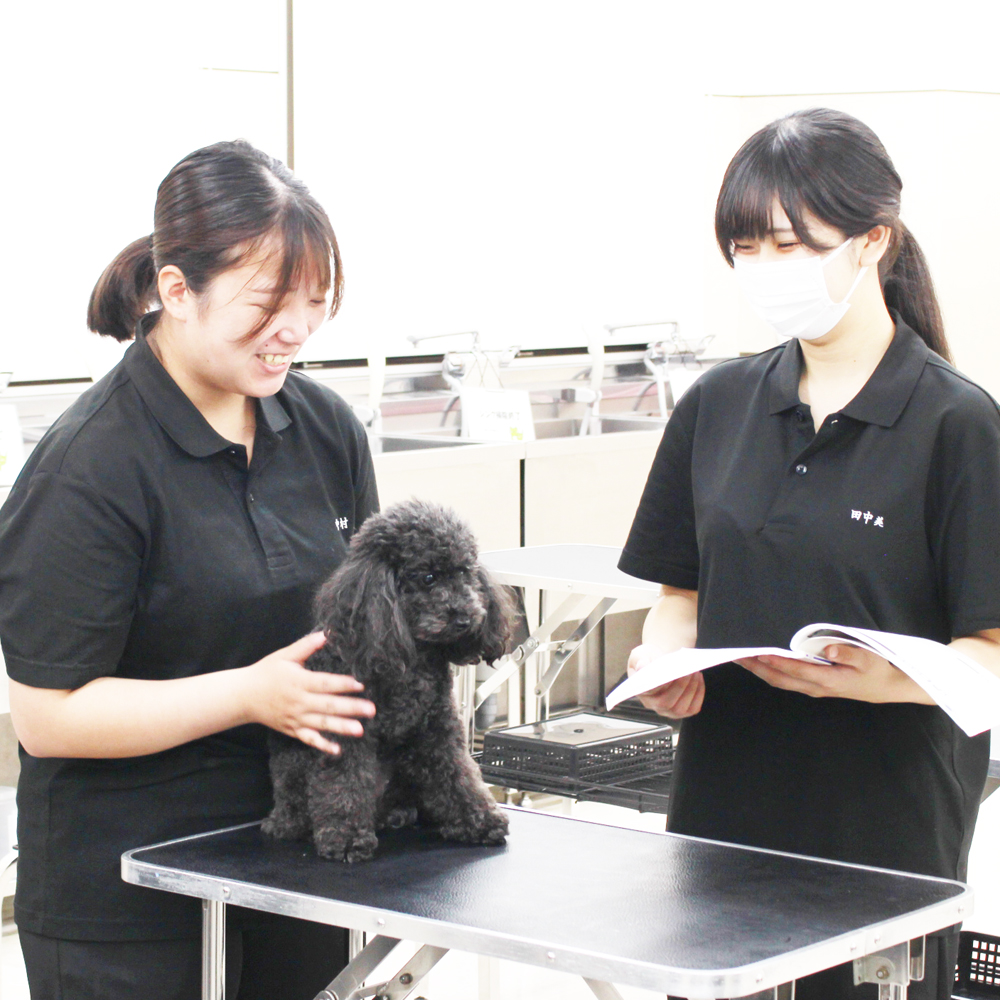 動物看護実習☆